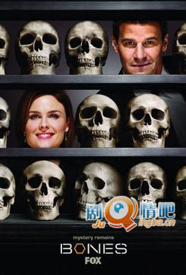 识骨寻踪第四季剧照
