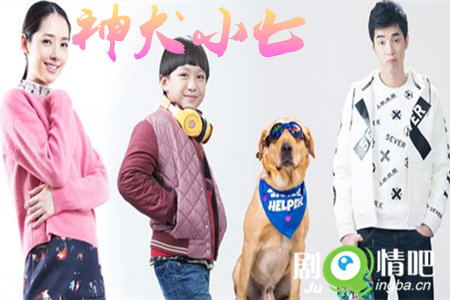 电视剧神犬小七剧照