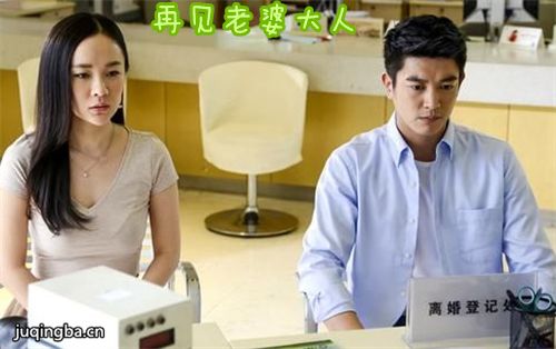 再见老婆大人剧照