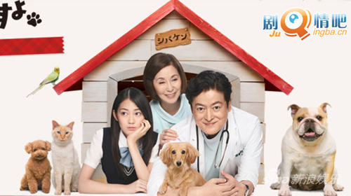 日剧柴健医生事件簿剧照