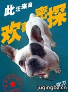 欢喜密探演员小狗剧照