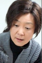 后妈难当演员表刘雪华剧照