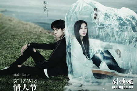 我与你的光年距剧照