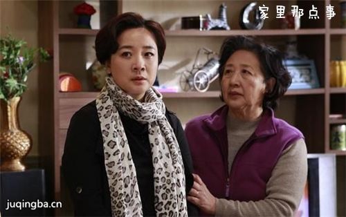 家里那点事剧照