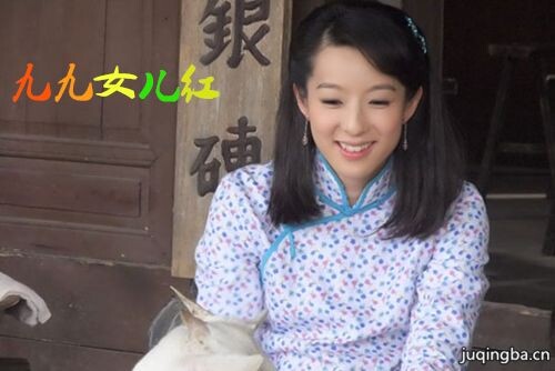 电视剧九九女儿红剧照