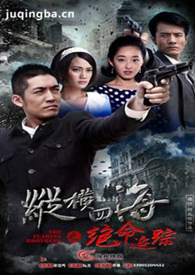 纵横四海之绝命追踪剧照