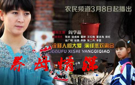 养母情深剧照