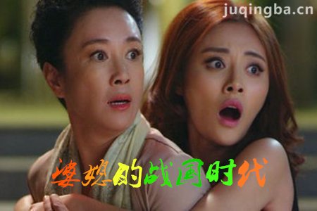 婆媳的战国时代剧照