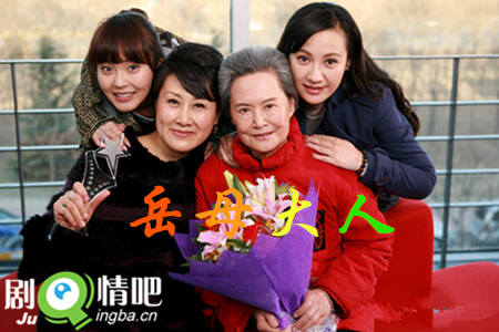 电视剧岳母大人剧照
