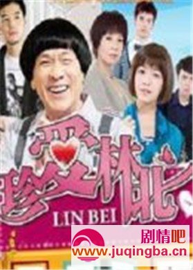 珍爱林北分集剧情介绍1-25集大结局