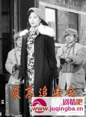 最高追击令分集剧情介绍(1-34集)大结局