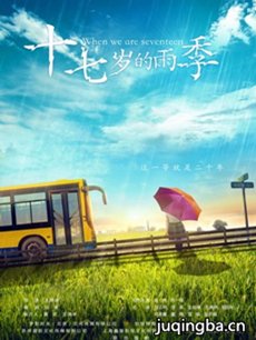 十七岁的雨季海报