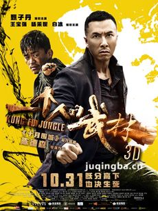 一个人的武林海报