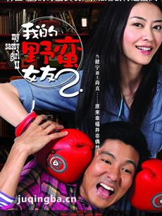 我的野蛮女友2海报