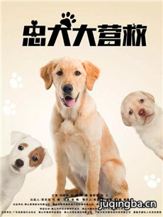 忠犬大营救海报