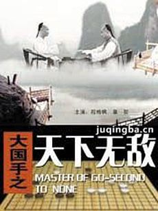 大国手之天下无敌海报