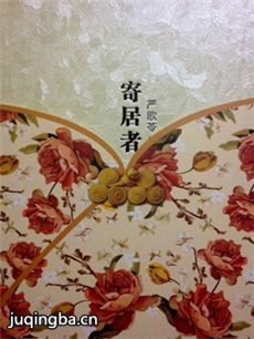 寄居者海报