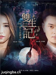 双生记之误入总裁身海报