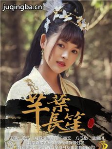 芊叶长笙海报