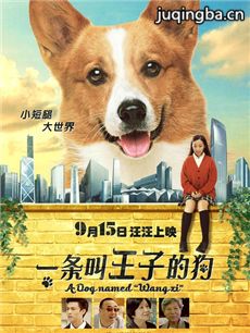 一条叫王子的狗海报