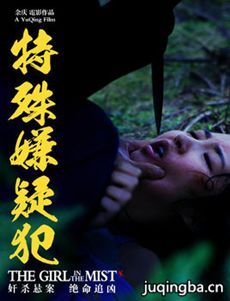 特殊嫌疑犯海报