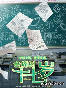 会痛的十七岁海报