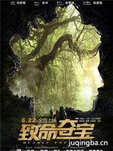 致命夺宝海报