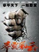 拳霸风云海报