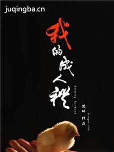 我的成人礼海报