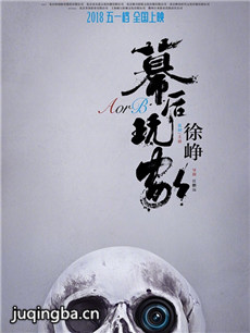 幕后玩家海报