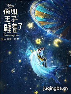 假如王子睡着了海报