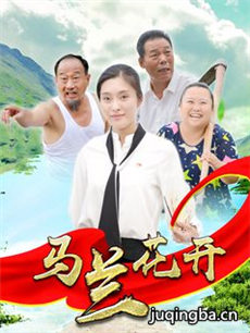 马兰花开海报