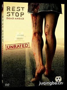 绝命之旅(2013)海报