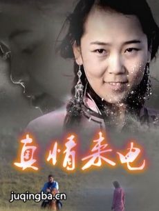 纪录片真情来电海报