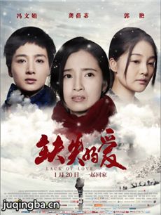 缺失的爱海报