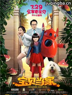 宝贝当家海报