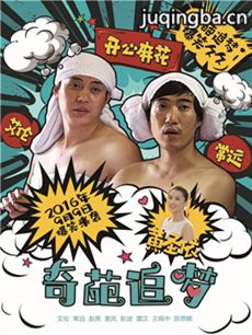 奇葩追梦海报