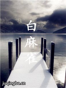 白麻雀海报