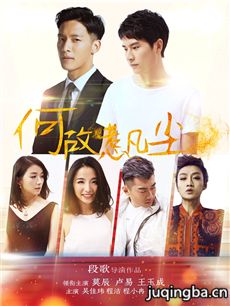何故惹凡尘海报