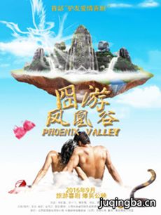 凤凰谷海报