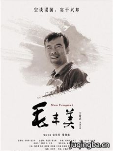 毛丰美海报