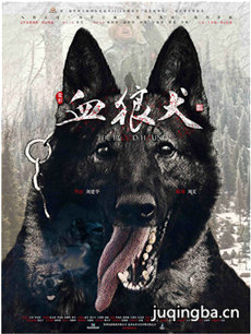 血狼犬海报