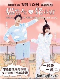 猫先生与猪小姐海报