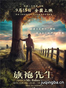 旗袍先生海报