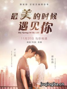 最美的时候遇见你海报
