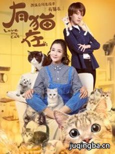 网剧有猫在剧情介绍(1-12全集)海报