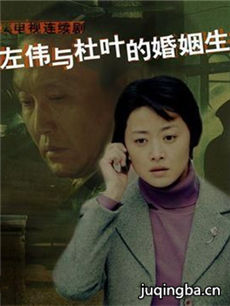 左伟和杜叶的婚姻生活剧情介绍(1-20全集)海报