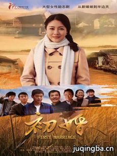 电视剧初婚剧情介绍(1-59全集)海报