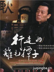 行走的鸡毛掸子剧情介绍(1-29全集)海报