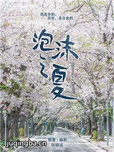 泡沫之夏(张雪迎版)剧情介绍(1-36全集)海报
